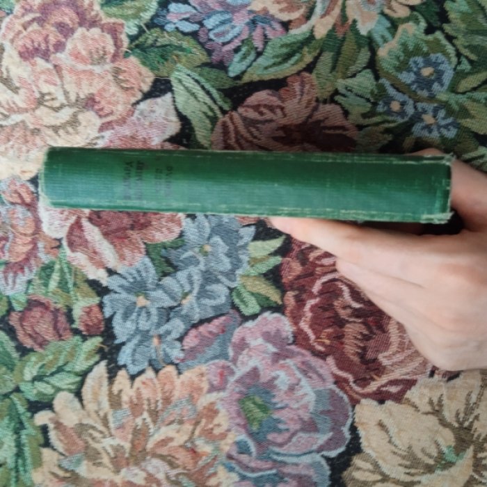 Киплинг Р. Свет погас.