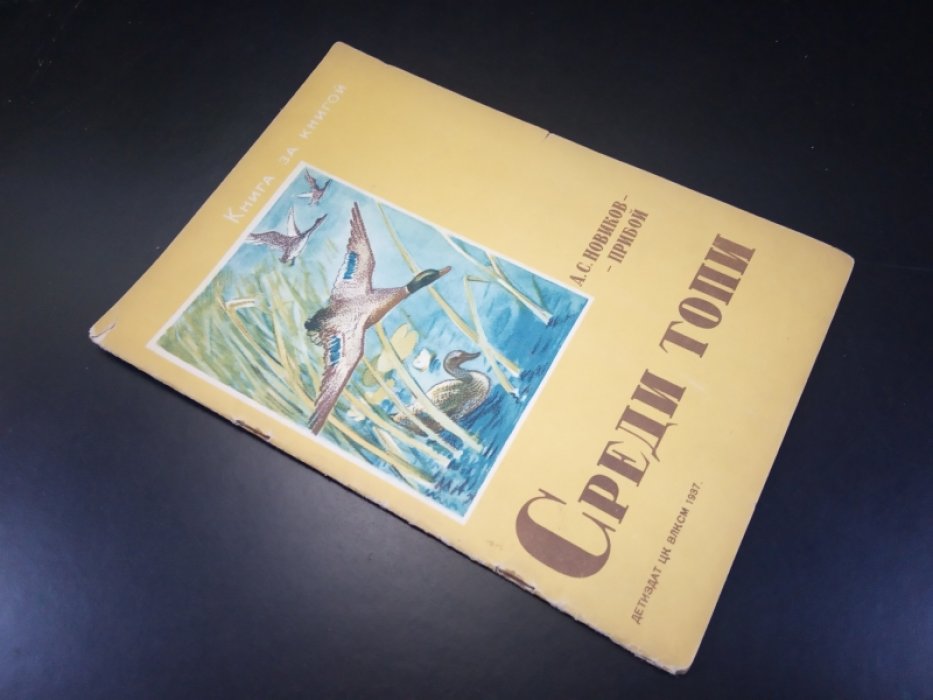 Новиков-Прибой А. Среди топи.