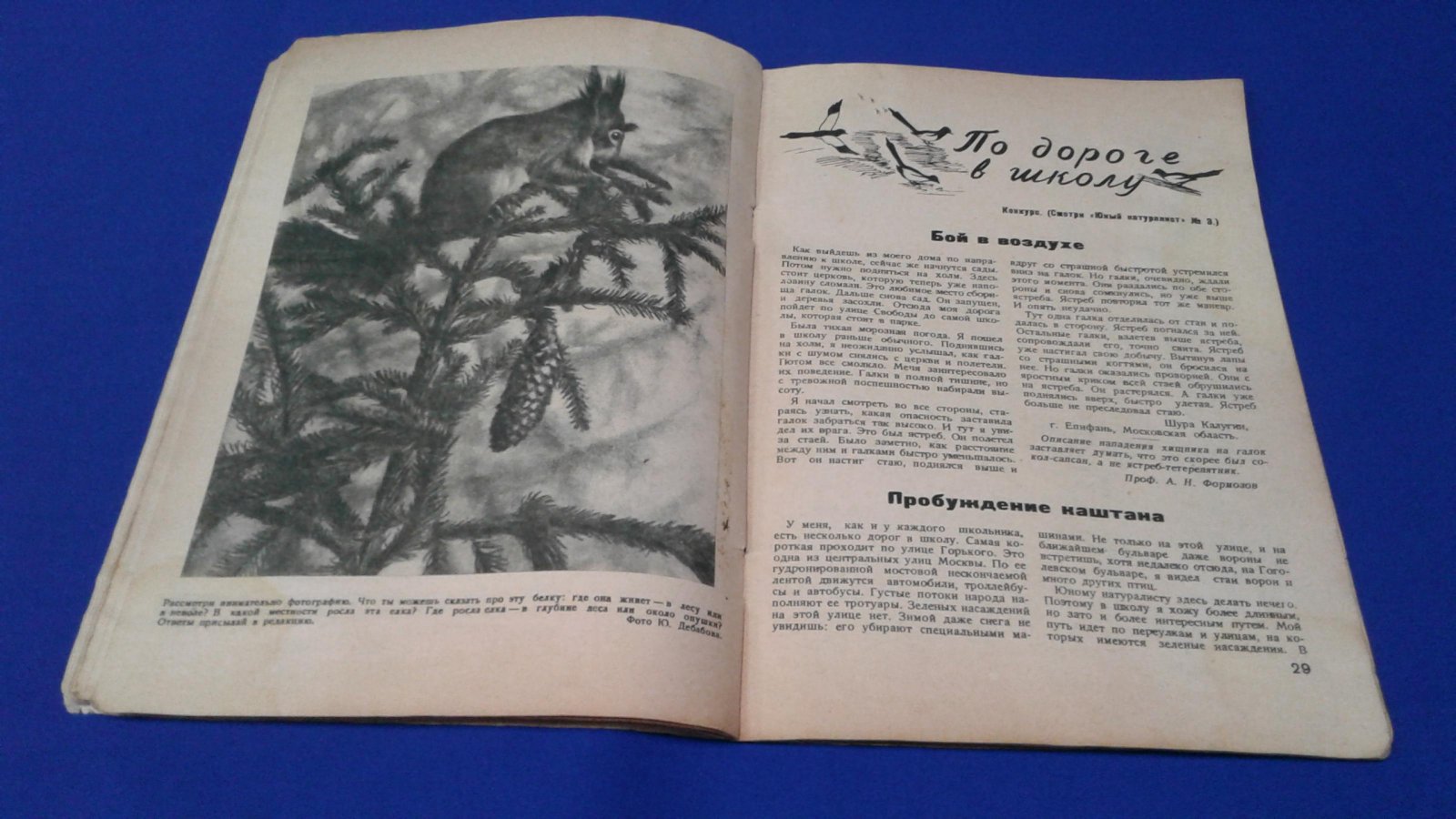 Юный натуралист. 1937, № 4, апрель