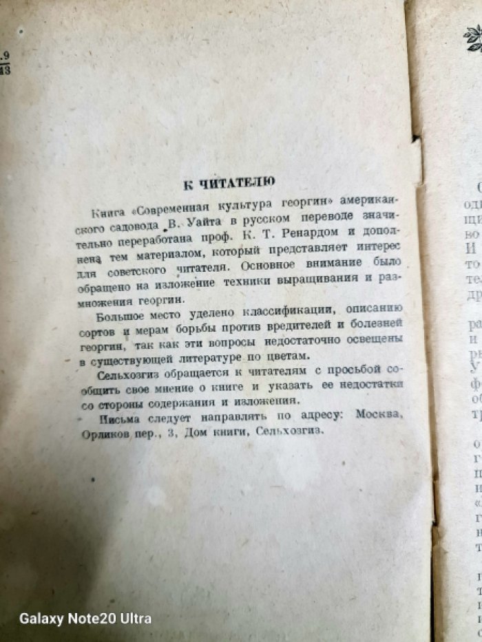 Уайт В. Георгины.