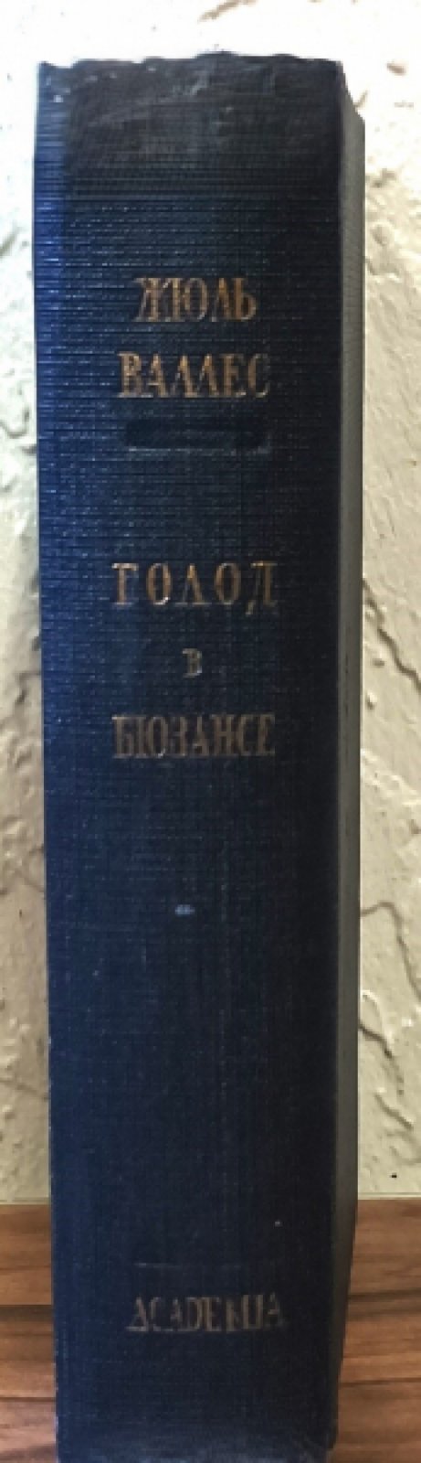 Валлес Жюль. Голод в Бюзансе. Отщепенцы.