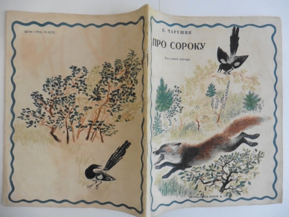 Чарушин Е. Про сороку.