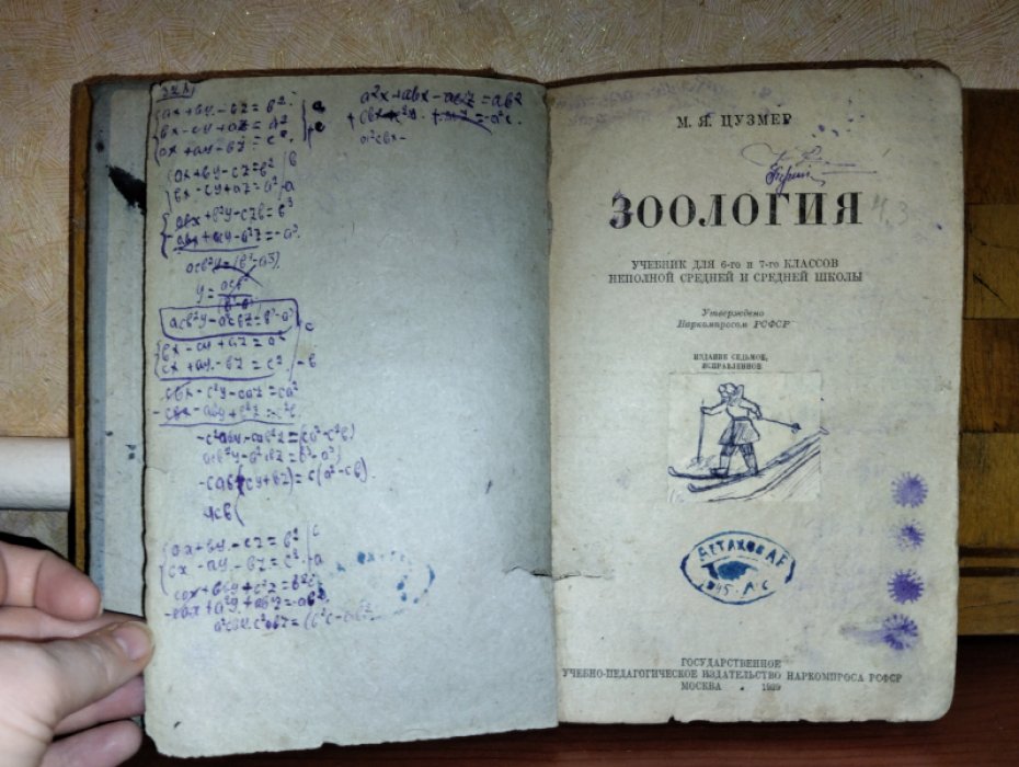 Цузмер М.Я. Зоология.