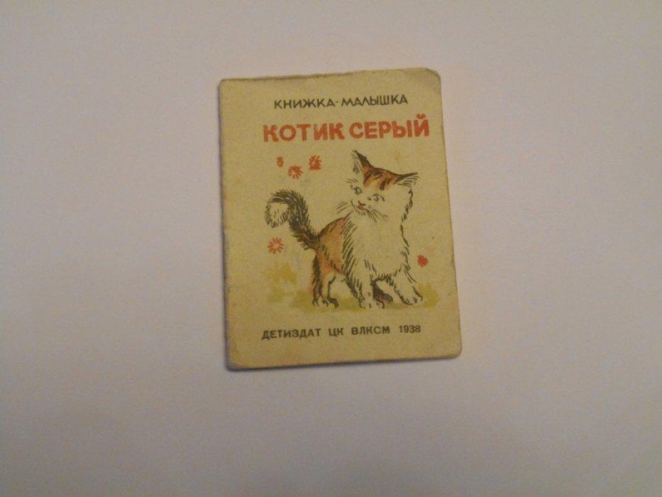 Котик серый.