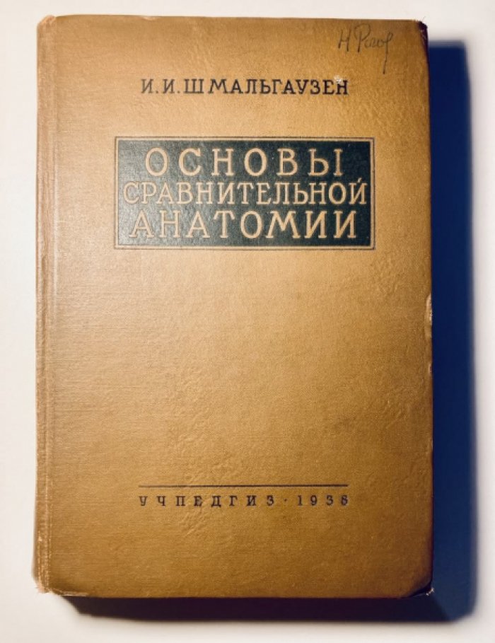 Шмальгаузен И. И. Основы сравнительной анатомии.