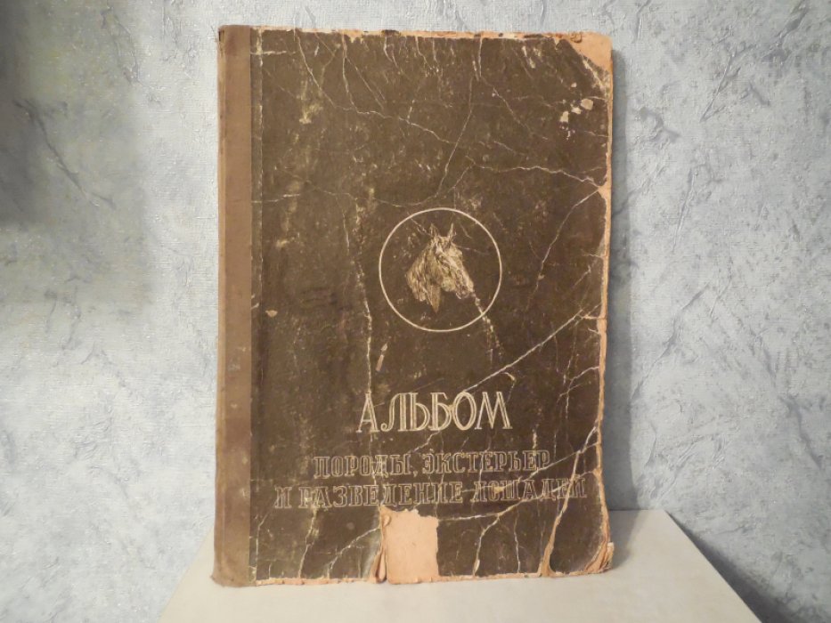 Онисимов В.Н.,Рогалевич М.И. Породы, экстерьер и разведение лошадей.