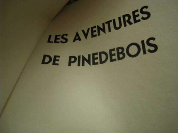 Braquemart Olga. Les aventures de pinedebois.