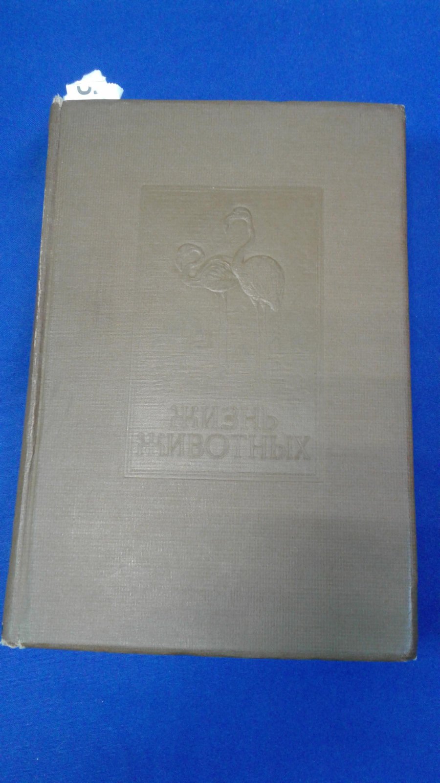 Брем А.Э. Жизнь животных в 5-и томах. Т.4.Птицы.