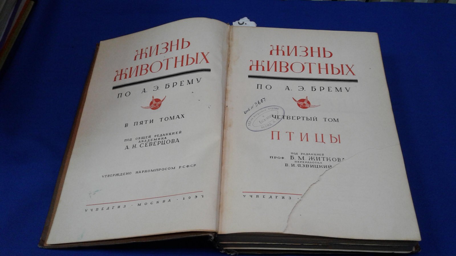 Брем А.Э. Жизнь животных в 5-и томах. Т.4.Птицы.
