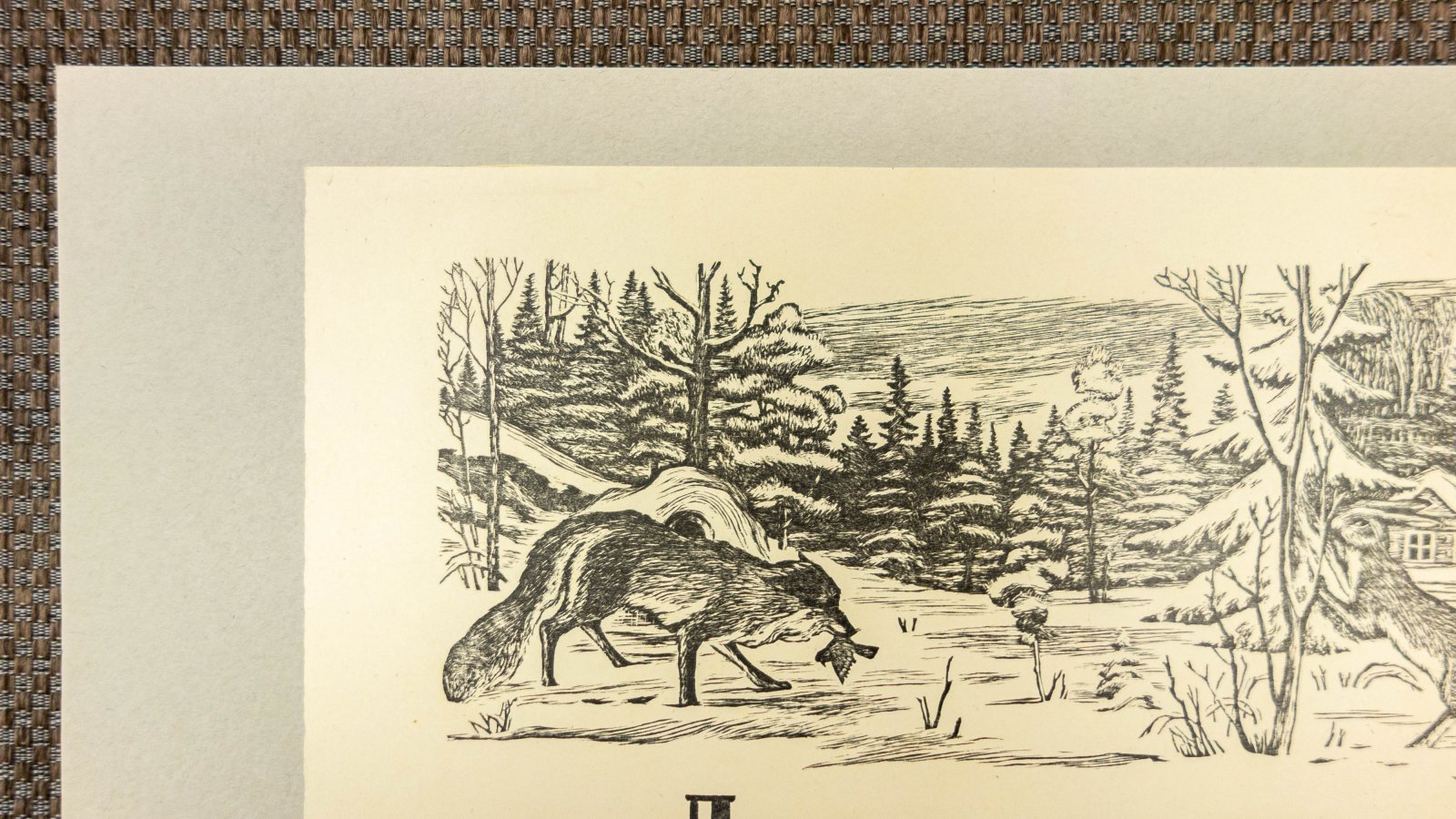 Журов, А.П. Обложка к книге Лиса, заяц и петух