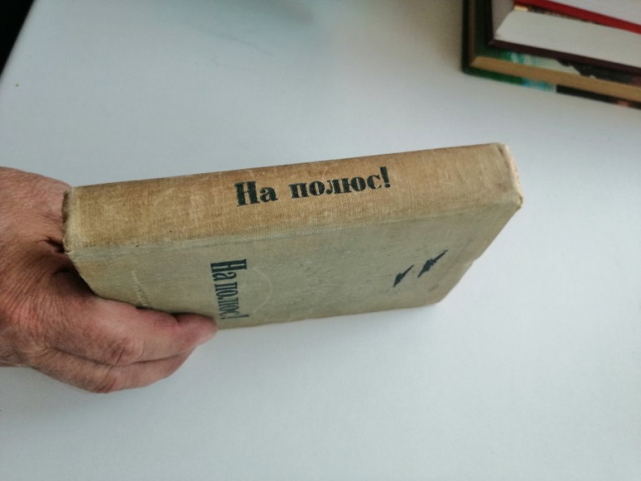 На полюс! Сборник статей и рассказов о завоевании Северного полюса. 