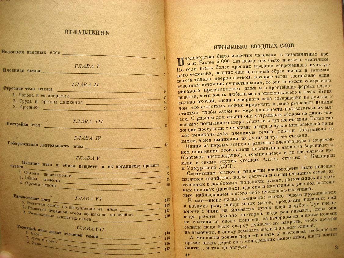 Гусельников А. Жизнь пчелиной семьи.