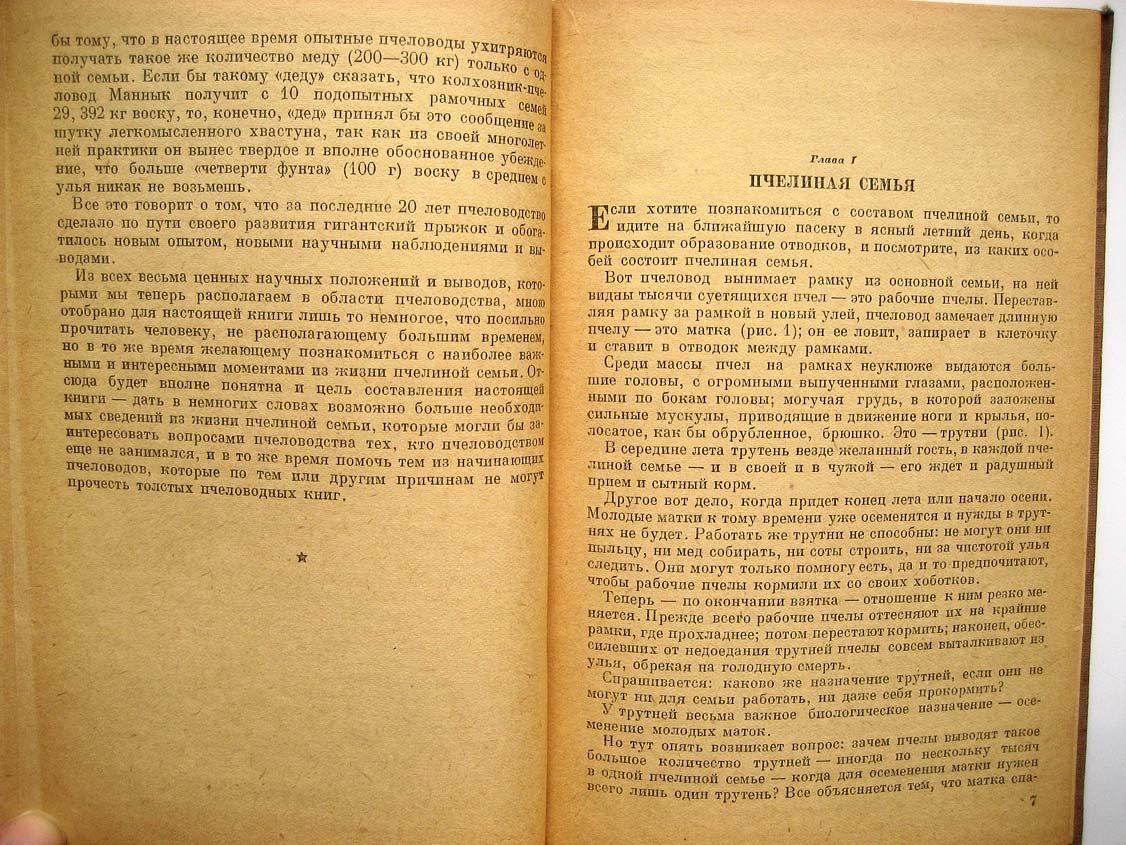 Гусельников А. Жизнь пчелиной семьи.