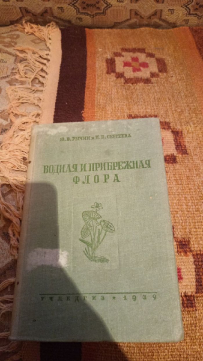 Рычин Ю. В., Сергеева П. В. Водная и прибрежная флора.