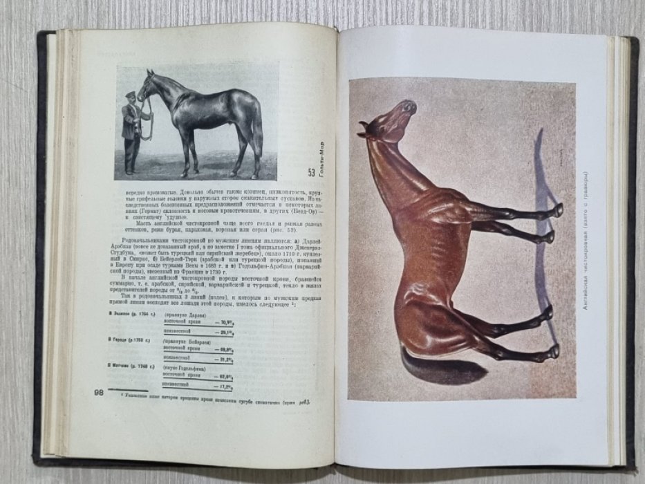 Буденный С.М. Книга о лошади. Том 1.