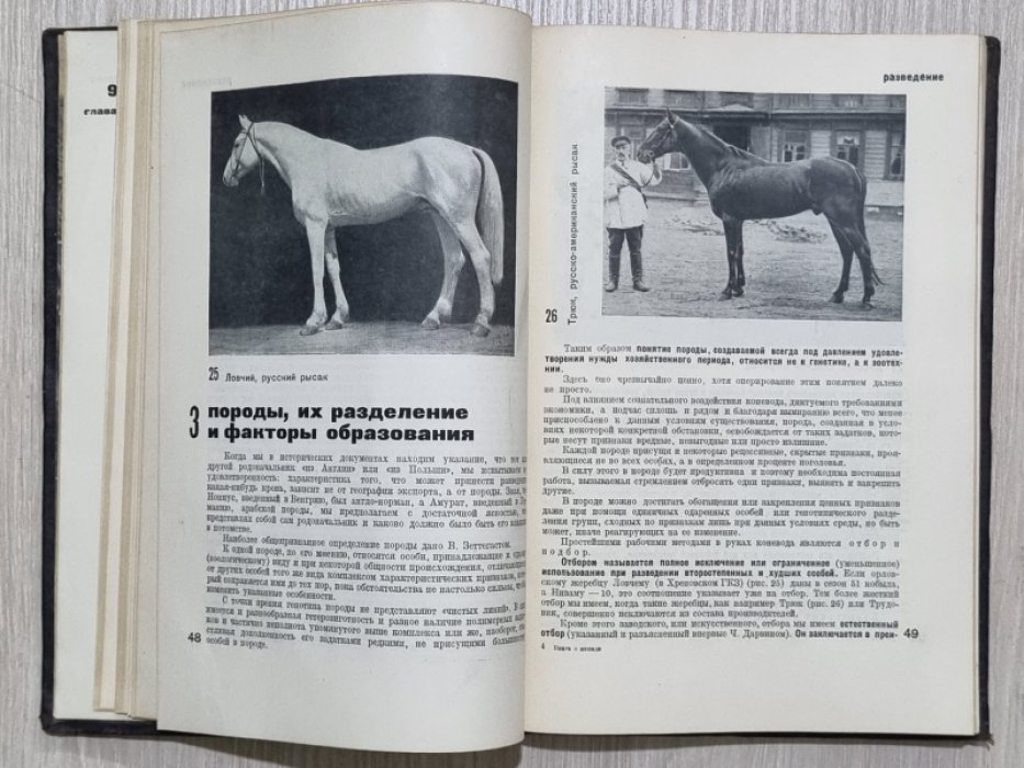 Буденный С.М. Книга о лошади. Том 1.