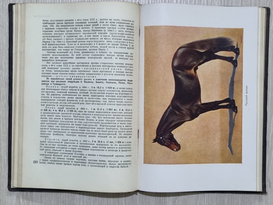 Буденный С.М. Книга о лошади. Том 1.