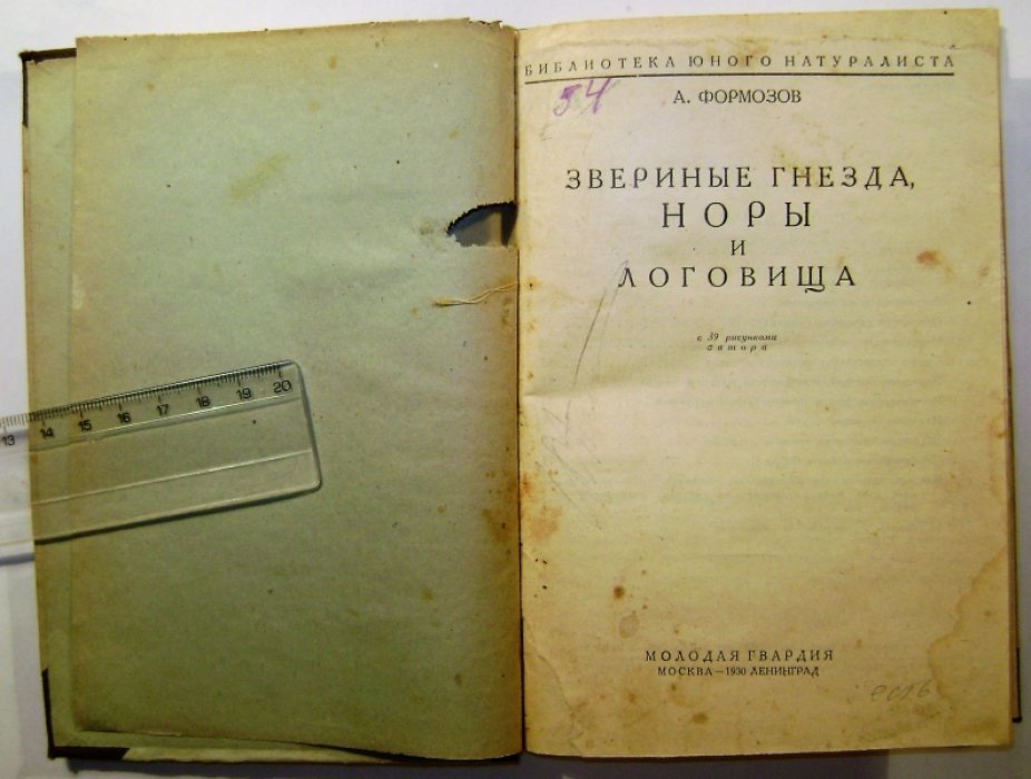 Формозов А.Н. Звериные гнезда, норы и логовища.