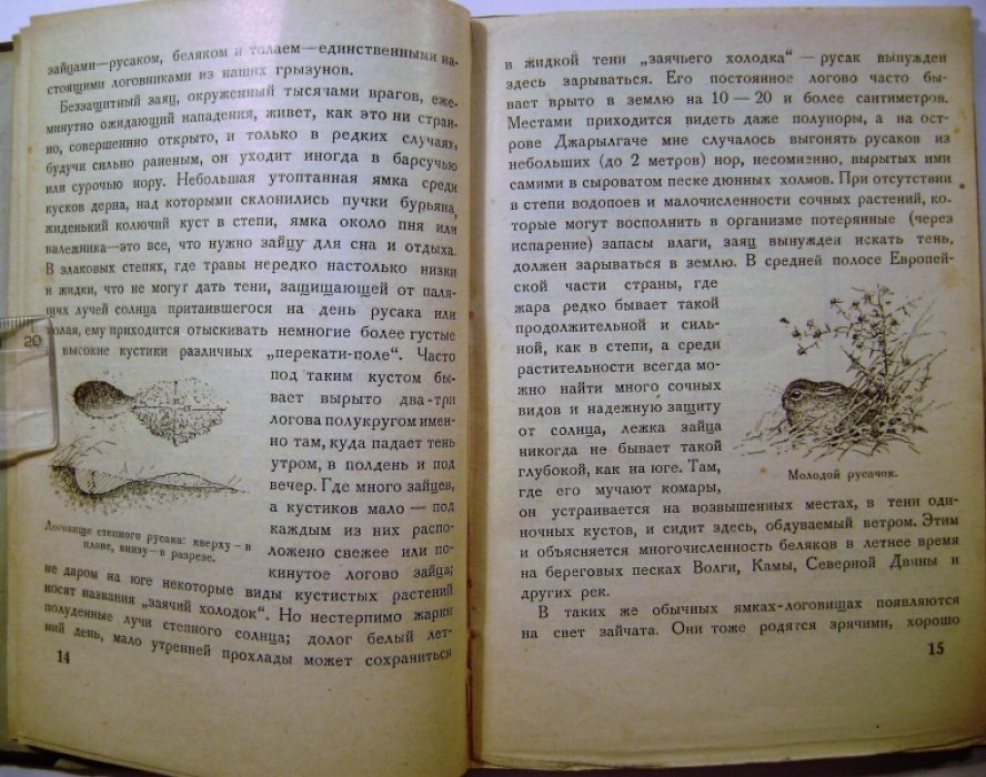 Формозов А.Н. Звериные гнезда, норы и логовища.