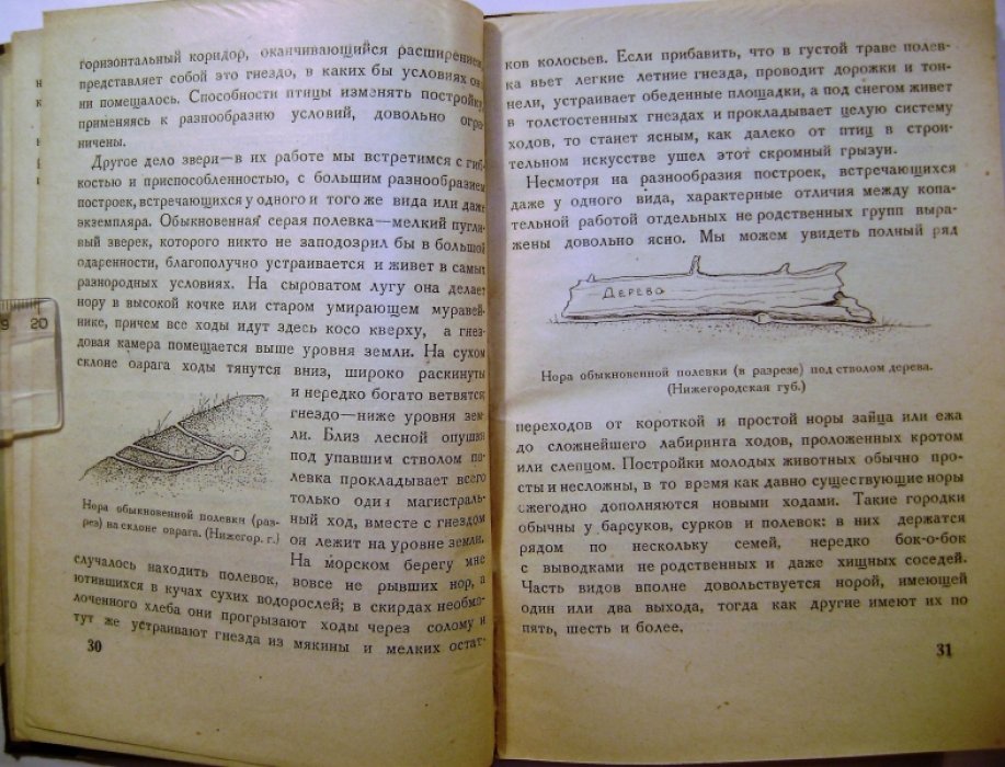 Формозов А.Н. Звериные гнезда, норы и логовища.