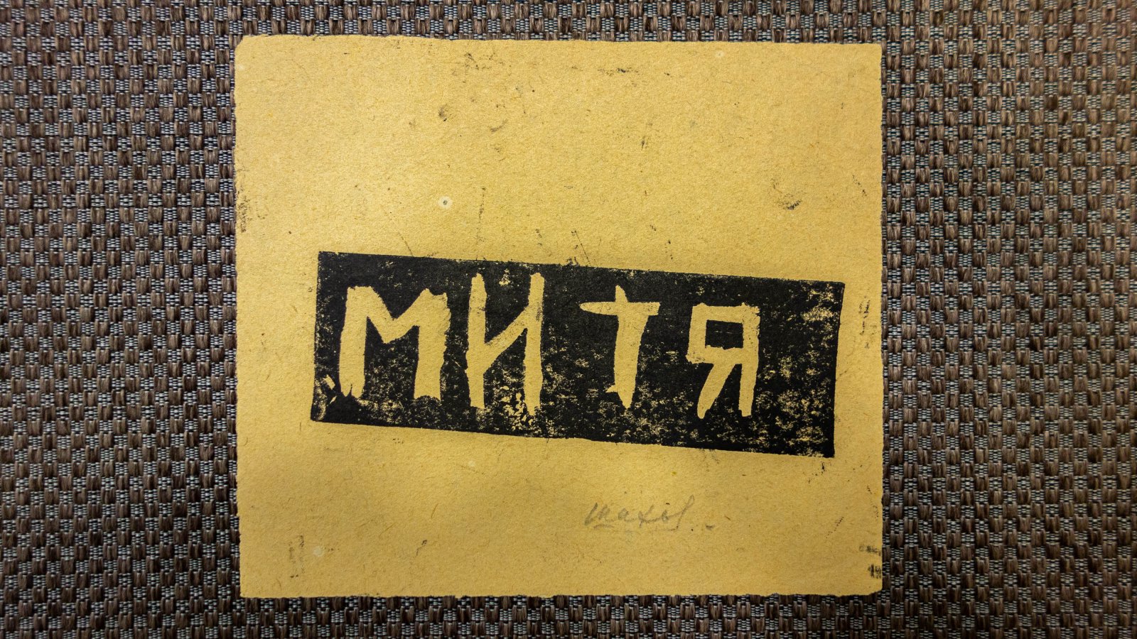 Тарханов, М.М. Две заставки Митя и Юра.