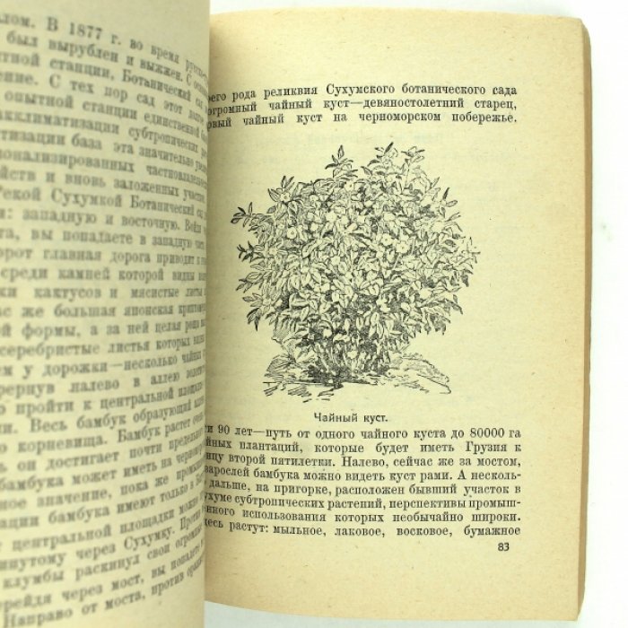 Орынянский А.: Фадеев А. По советской Абхазии : (Путеводитель).