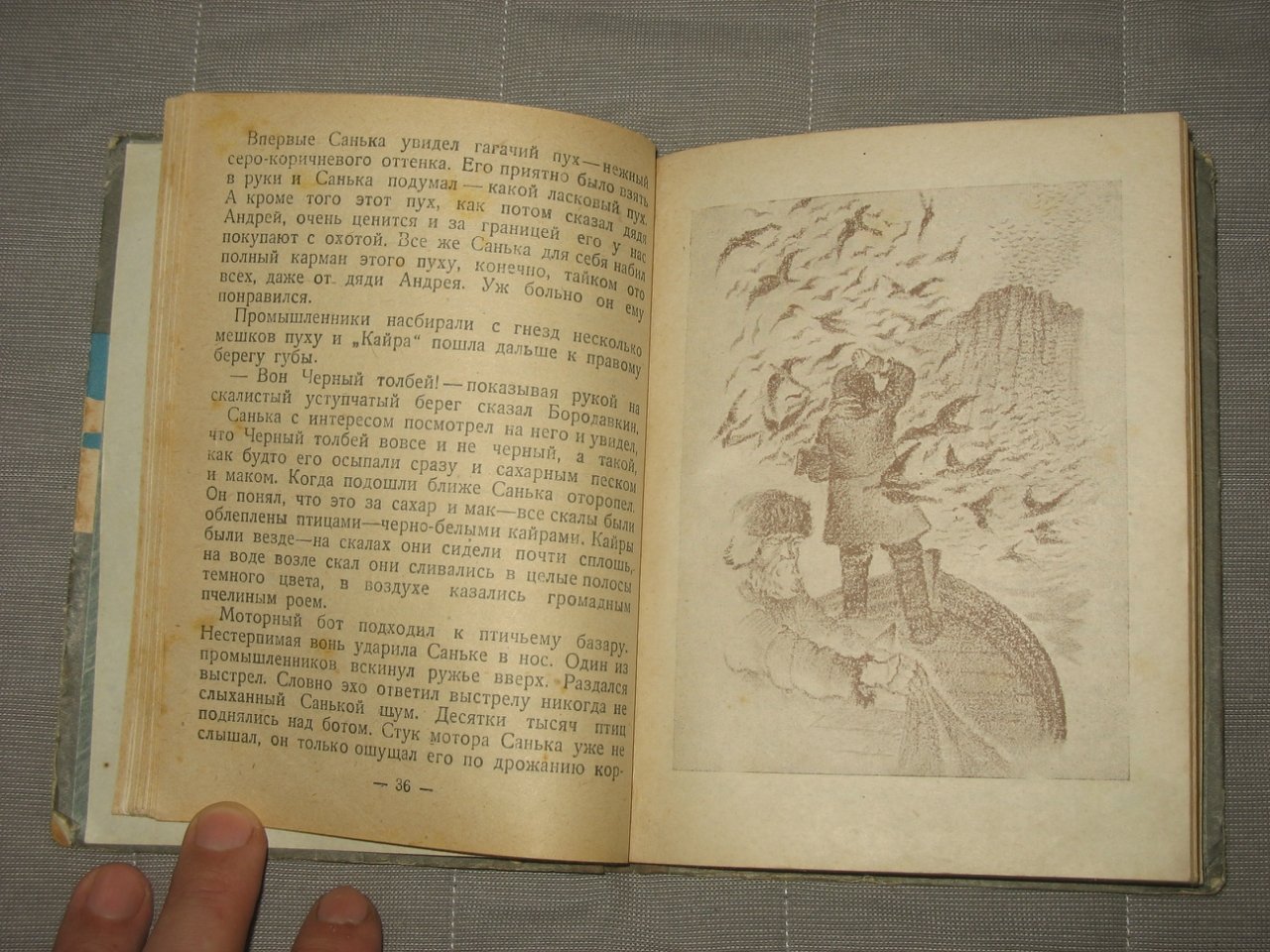 Марьенков М. За голубым песцом.