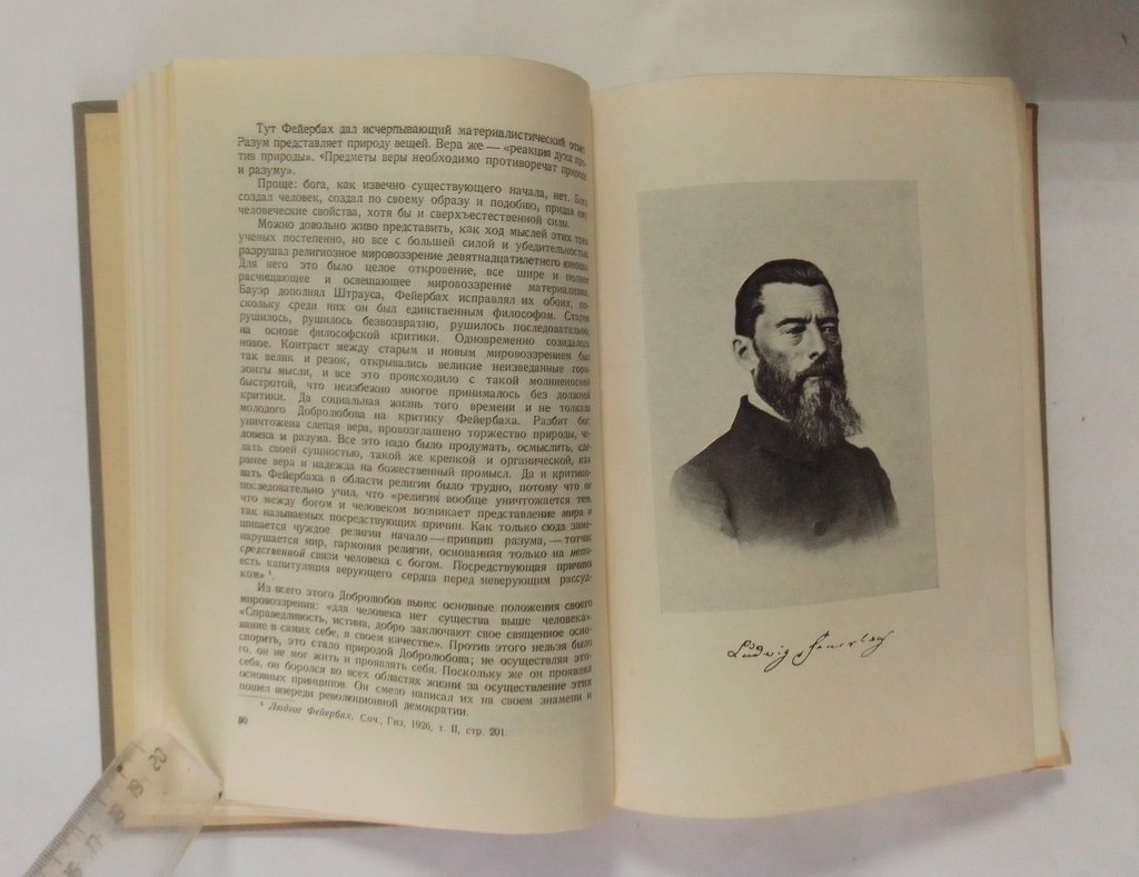 Полянский, Валерьян (Лебедев П.И.) Н.А. Добролюбов