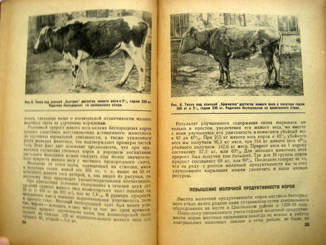 Богданов В. Раздаивание молочного скота.