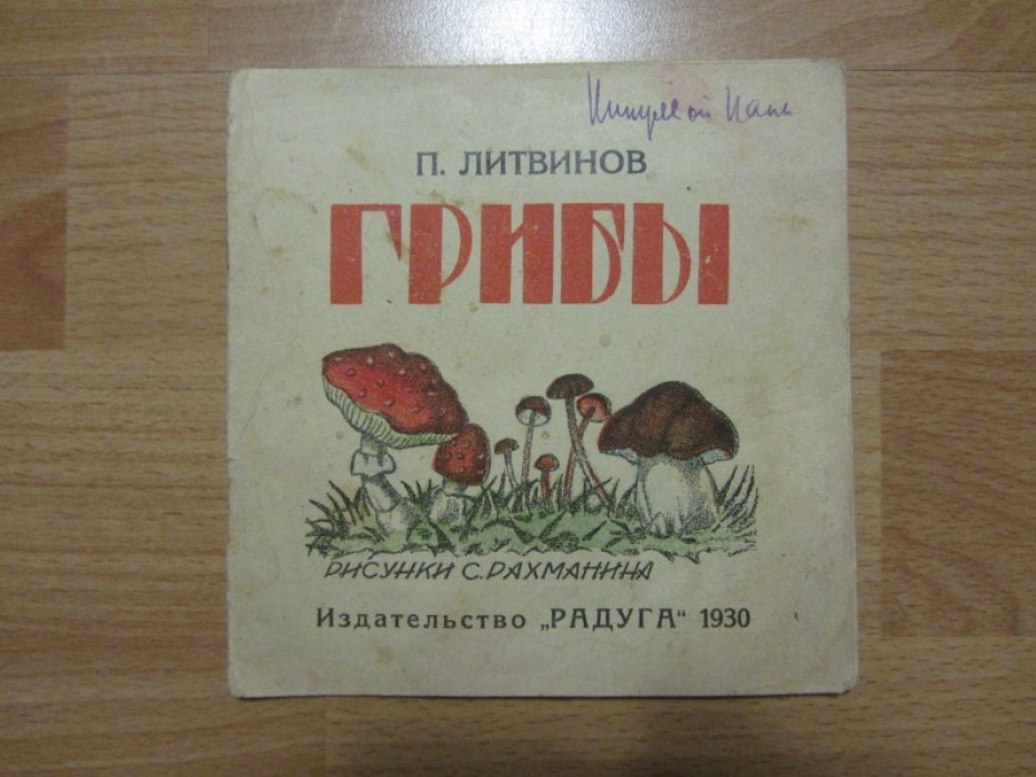 Литвинов П. Грибы.