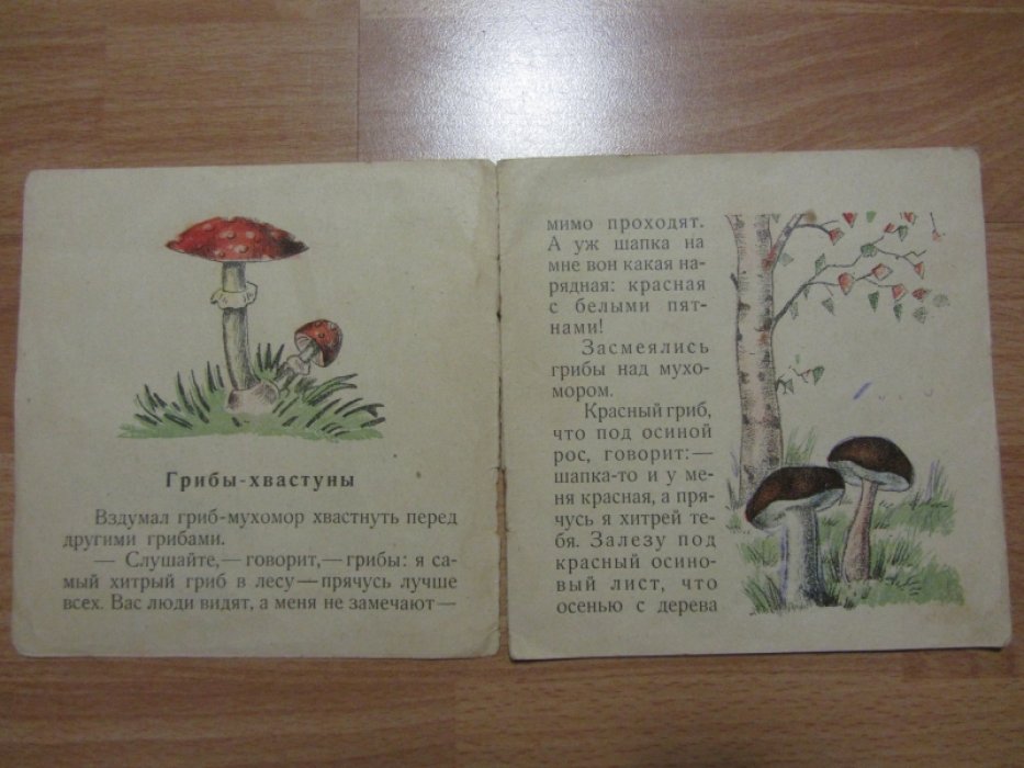 Литвинов П. Грибы.