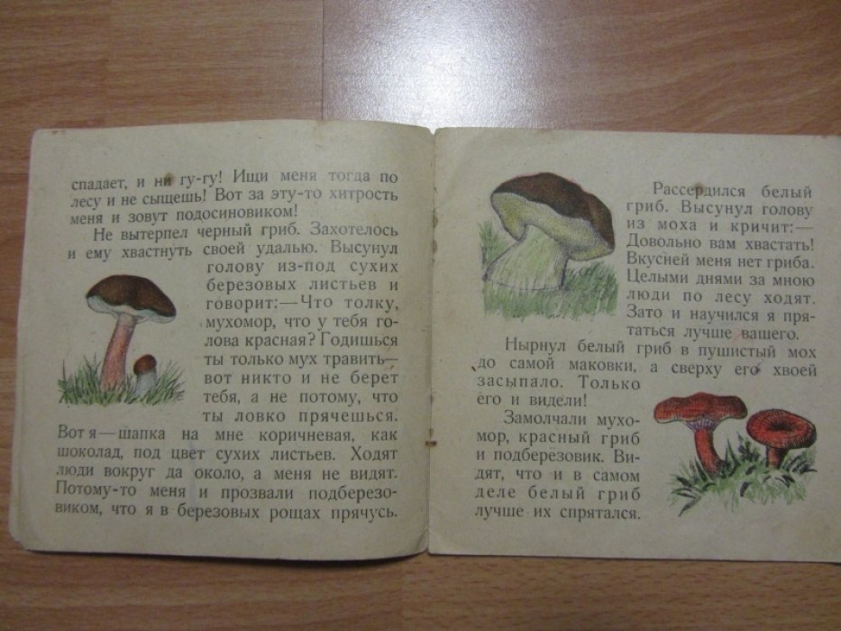 Литвинов П. Грибы.