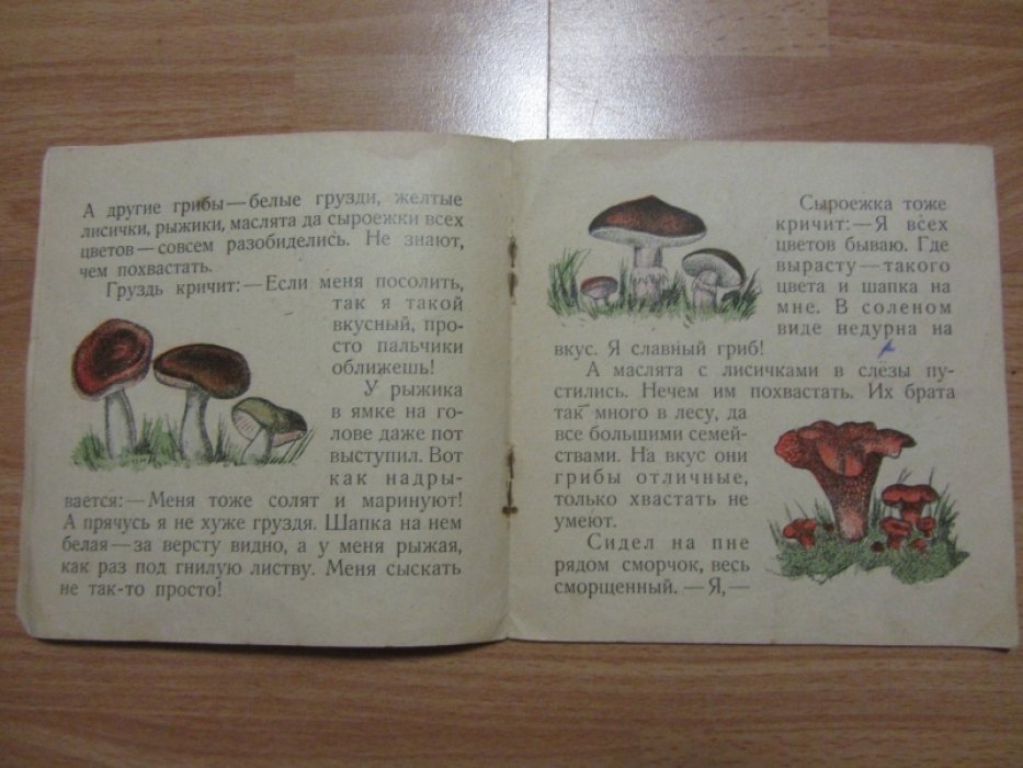 Литвинов П. Грибы.
