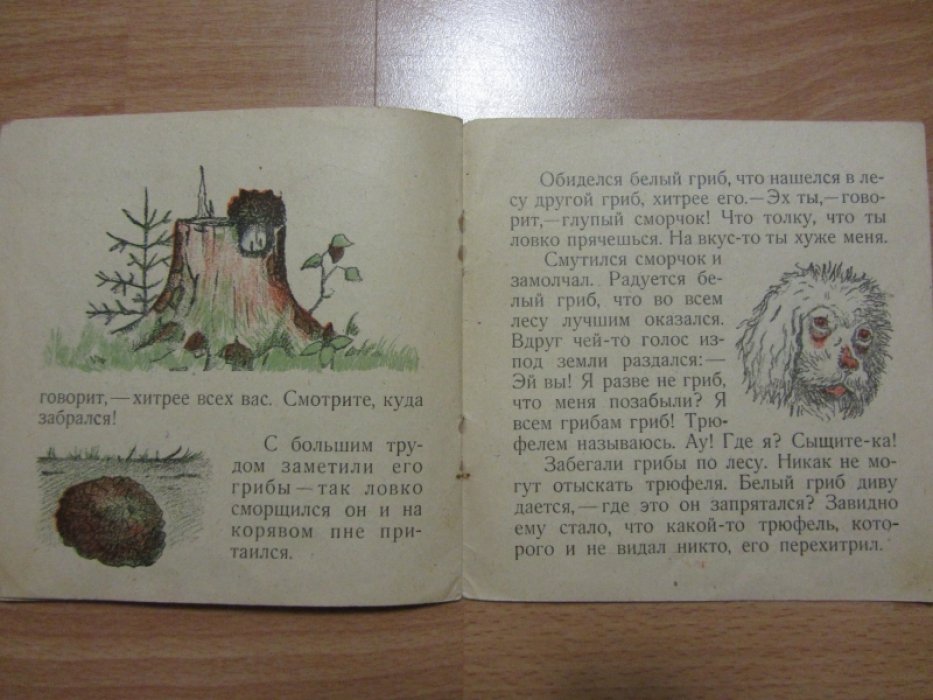 Литвинов П. Грибы.