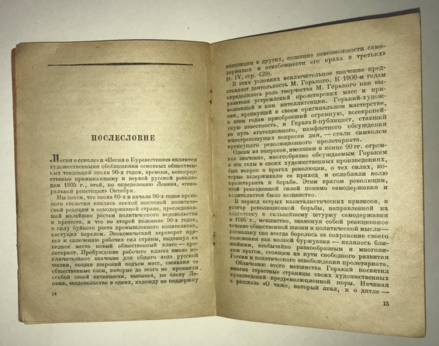 Горький М. Песня о соколе. Песня о буревестнике.