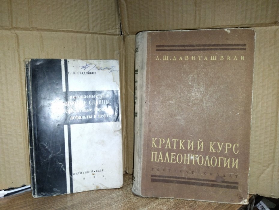 Стадников Г.Л. Ископаемые угли, горючие сланцы, асфальтные породы, асфальты и нефти.