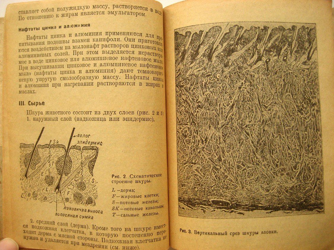 Лейтес В., Фридлянд А. Хромовая подошва.