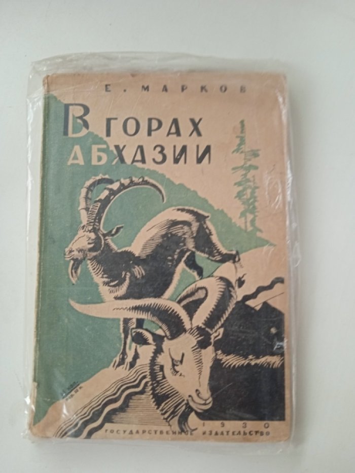 Марков Е. В горах Абхазии.