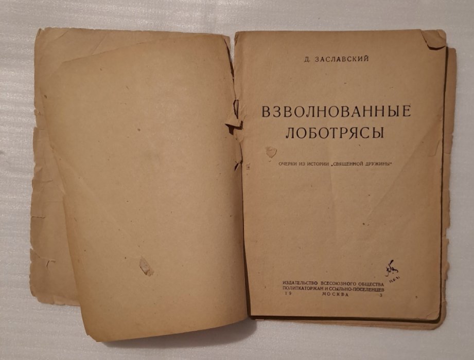 Заславский Д. Взволнованные лоботрясы.