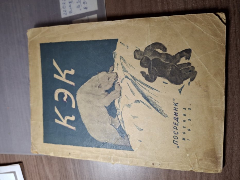 Ирвин В., Стэфенсон В. Кэк. Эскимосский мальчик.