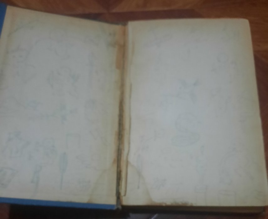 Зощенко М. Голубая книга.