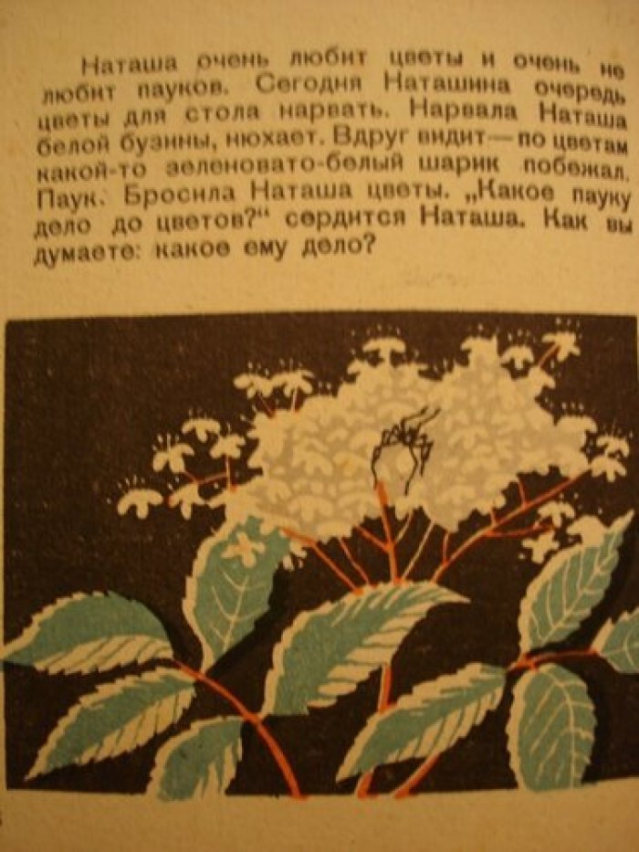 Вербловская А. Что узнали дети.