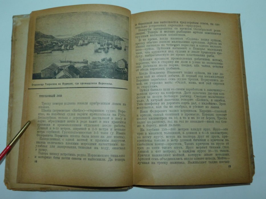 Покровская А.К. Водитель ``Седова``.