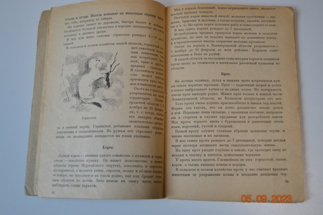Фалькенштейн Б.Ю. Промыслово-охотничьи звери и птицы Ленинградской области и охота на них.
