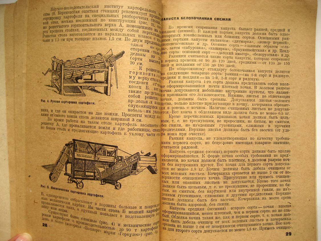 Раевский Н. Сортировка, упаковка, перевозка и хранение овощей
