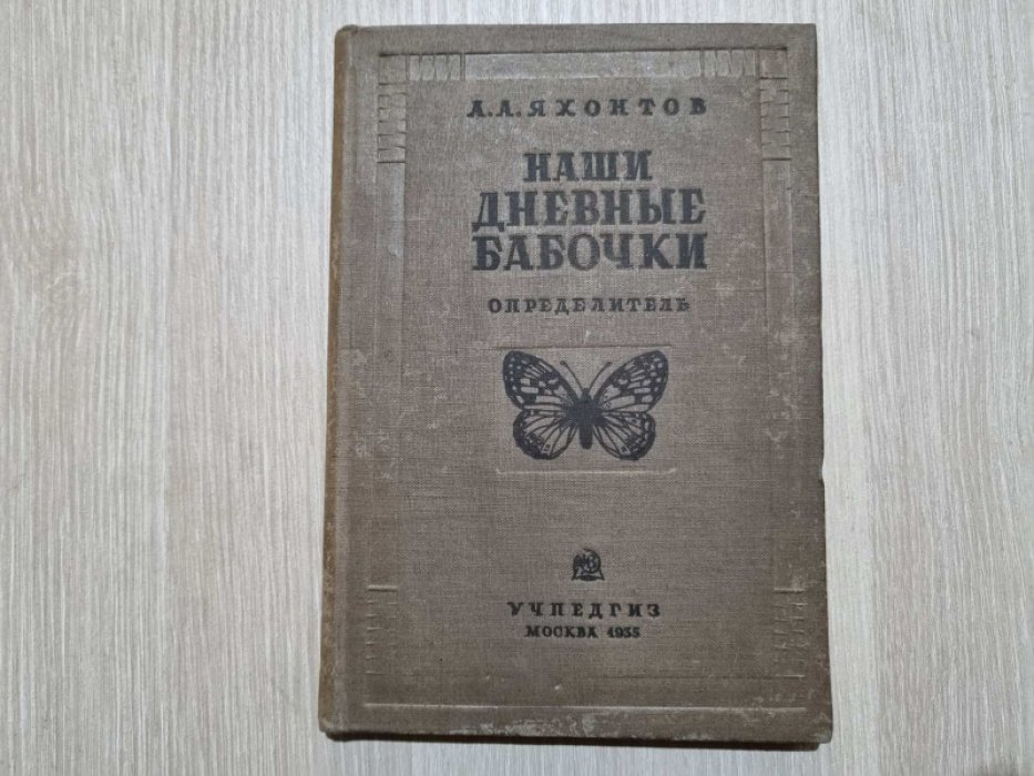 Яхонтов А.А. Наши дневные бабочки.