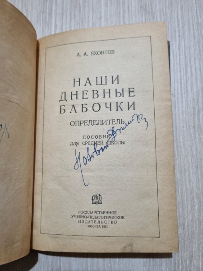 Яхонтов А.А. Наши дневные бабочки.