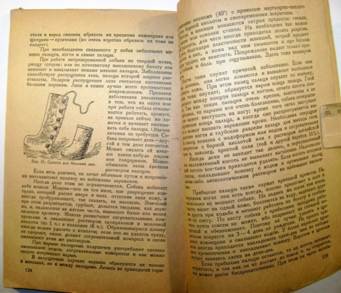Михайлов В.С. Первая помощь заболевшей собаке.