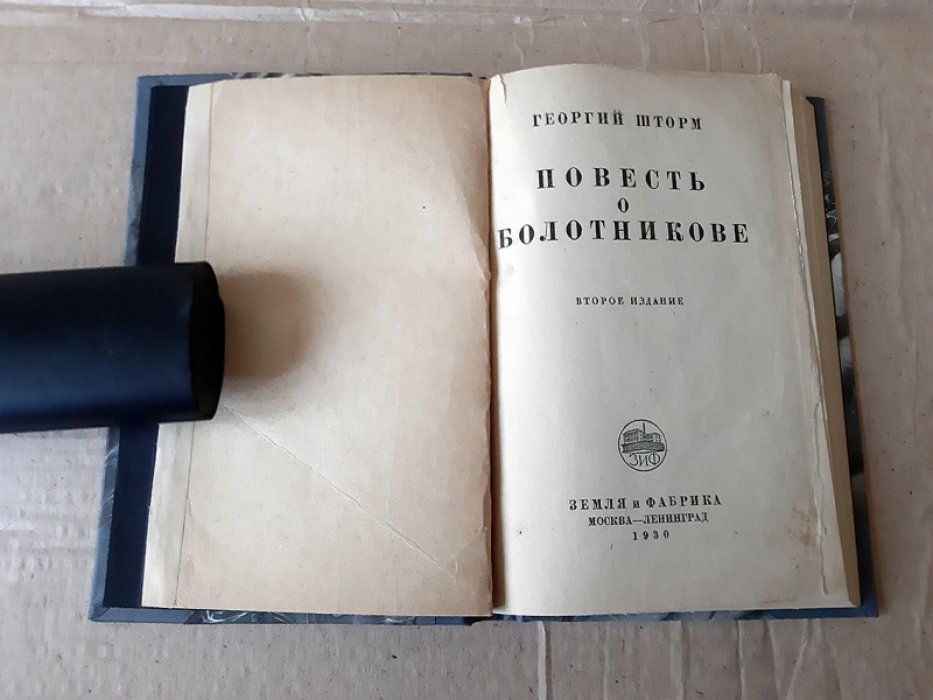 Шторм Г. Повесть о Болотникове.