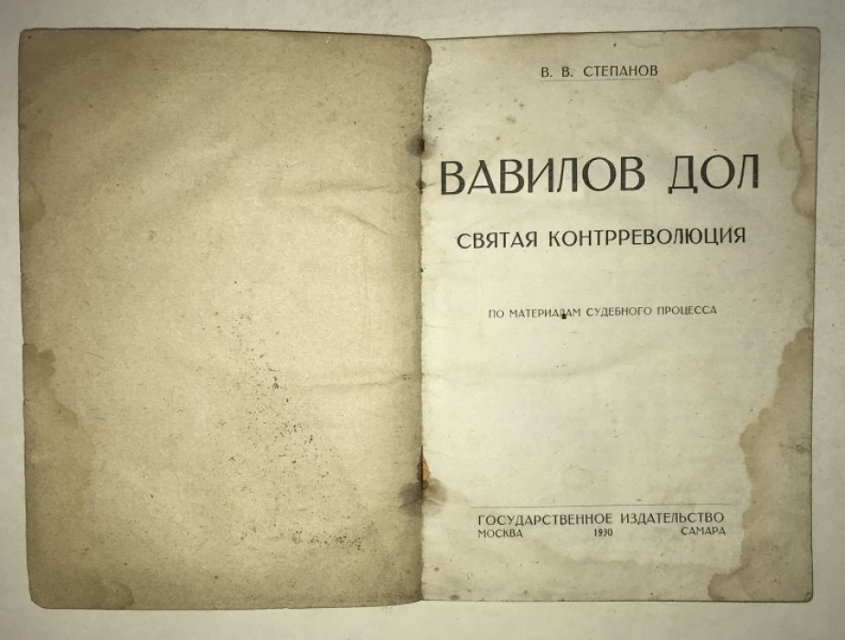 Степанов В.В. Вавилов дол (Святая контрреволюция). По материалам судебного процесса.